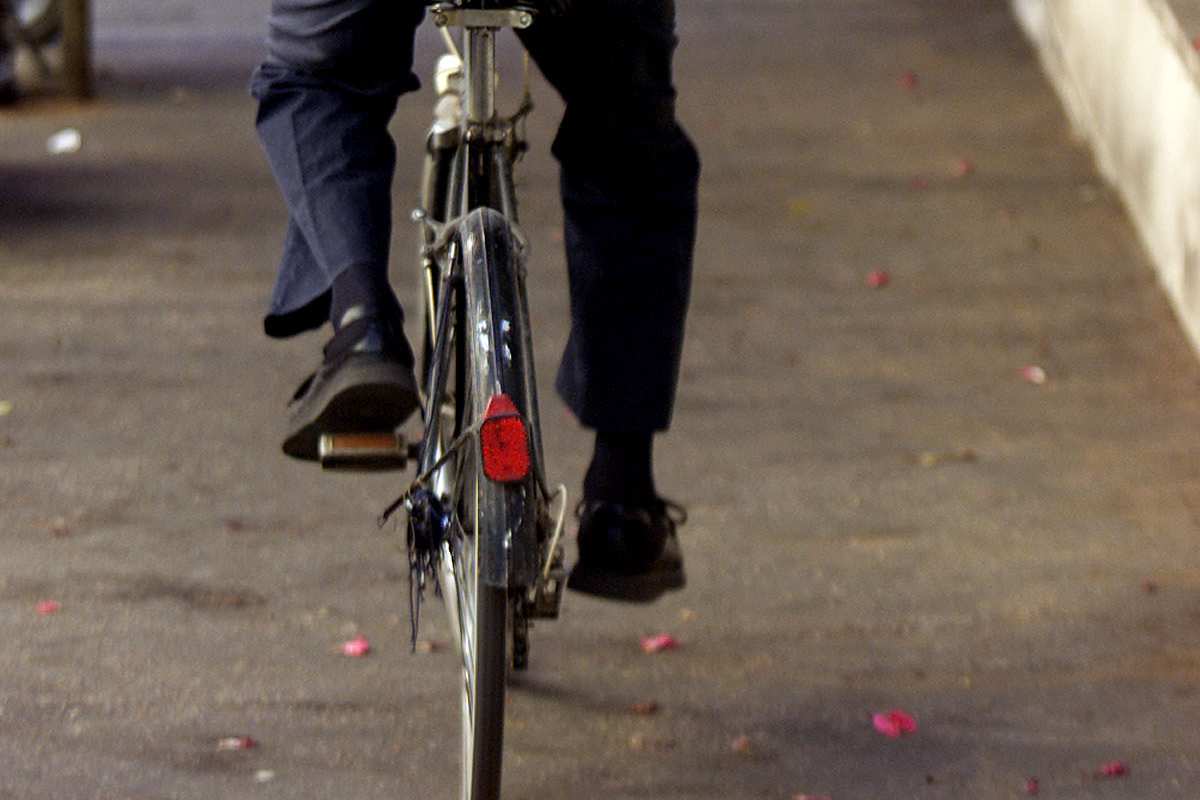 Polpaccio mortalità